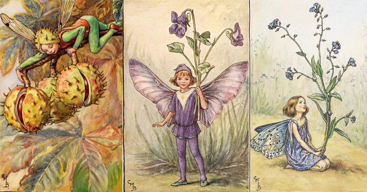 Take Five Favourite Flower Fairies By Laurel Breaking News Moshtix